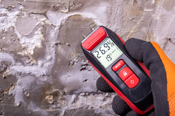 Best Preventive Mold Services in Nixon, TX