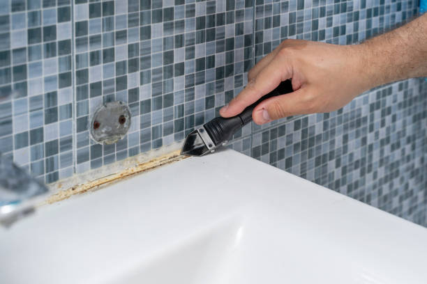 Professional Mold Remediation in Nixon, TX