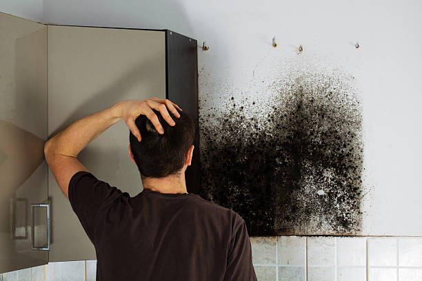 Best Industrial Mold Remediation in Nixon, TX